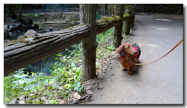 20130410201421.JPG