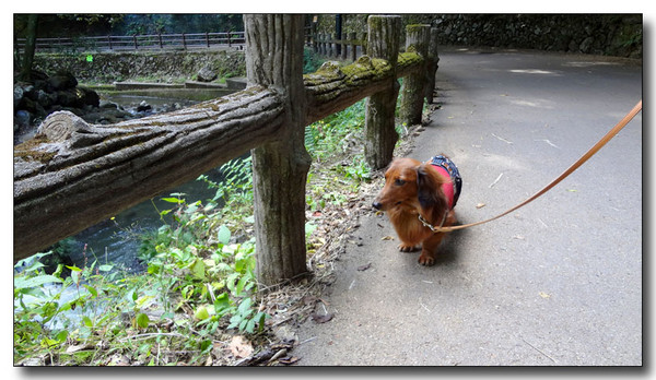 20130410201422.JPG