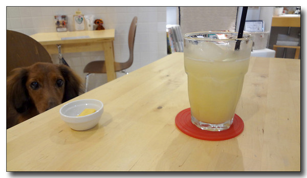 20130410210751.jpg