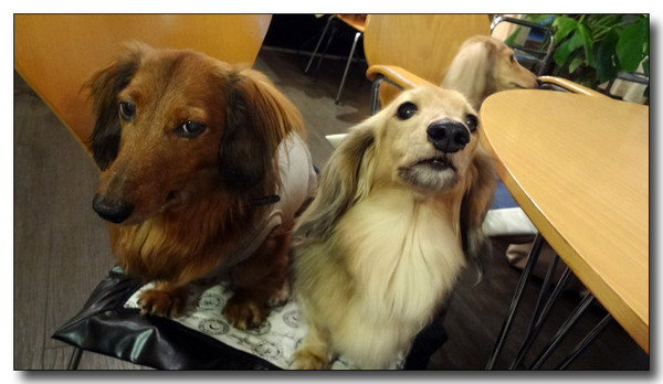 20130411003741.jpg