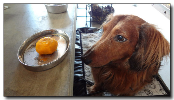 20130411094152.jpg