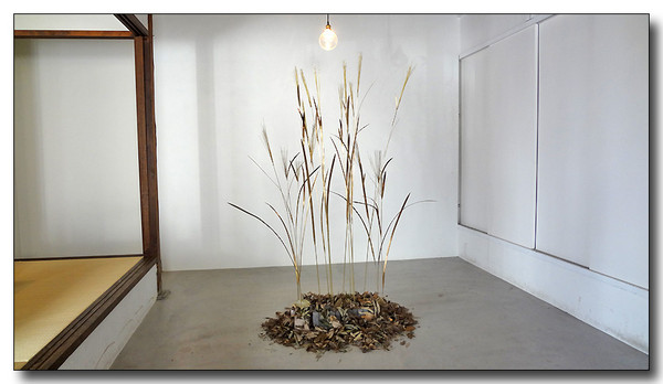 20130411094246.JPG