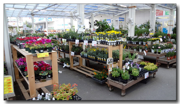 20130411122526.JPG