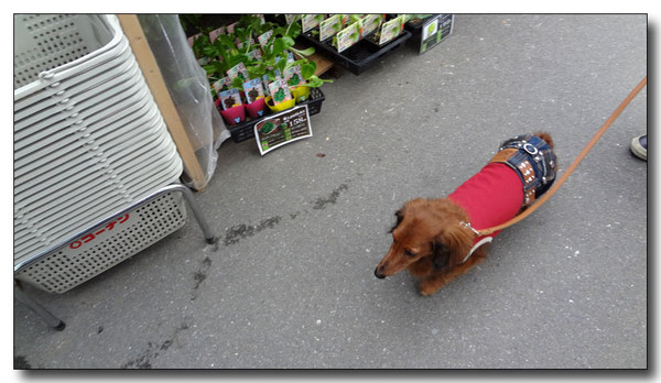 20130411122527.jpg