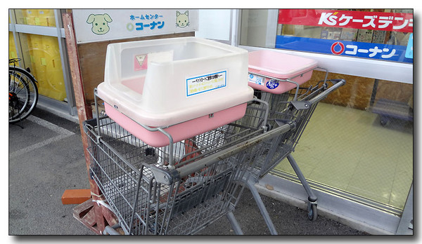 20130411122531.JPG