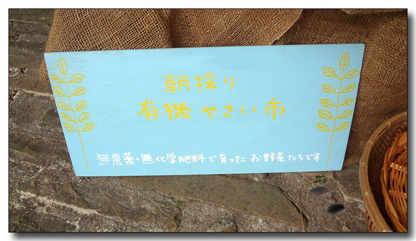 20130411141002.JPG