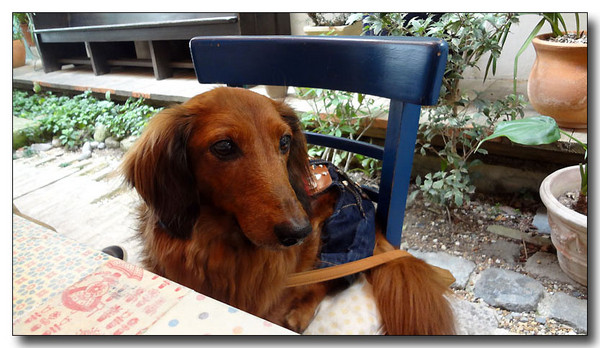 20130411141041.jpg