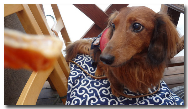 20130411191647.jpg