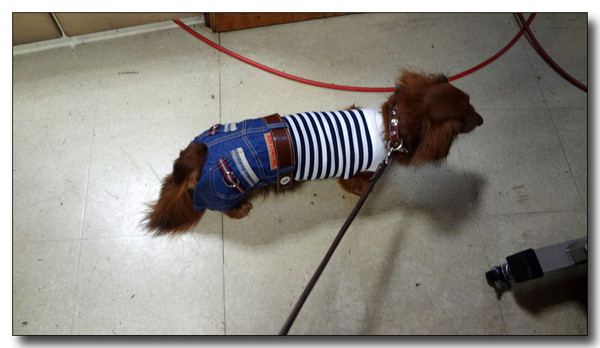 20130411191706.jpg