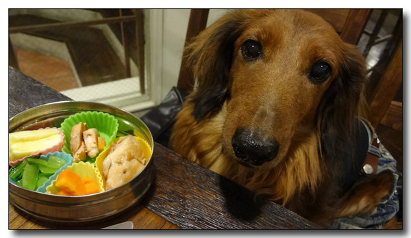 20130411193006.jpg