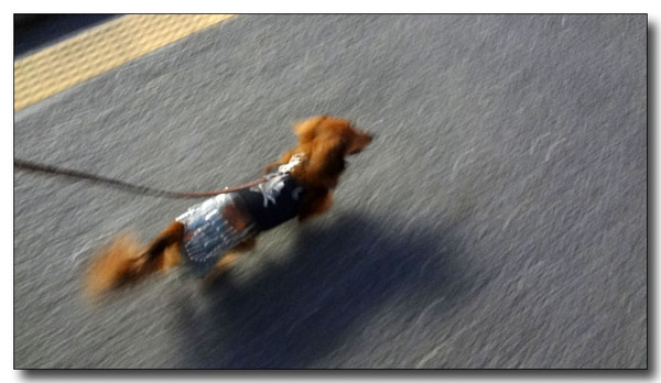 20130411193044.jpg