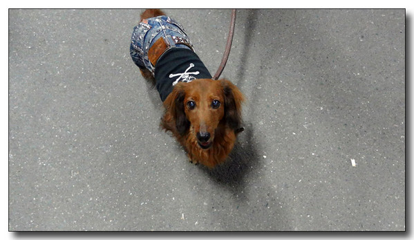 20130411193046.jpg