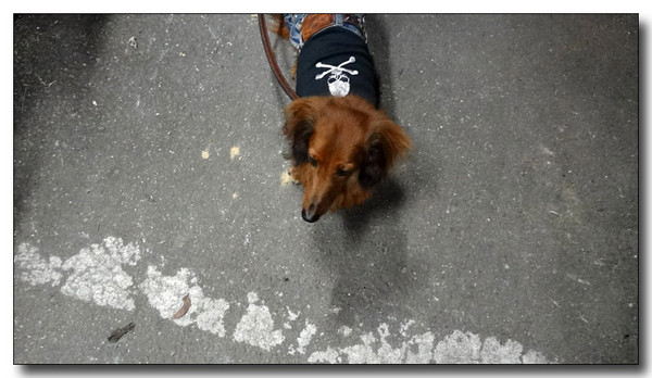 20130411193047.jpg