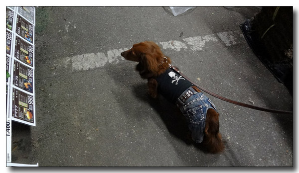 20130411193048.jpg