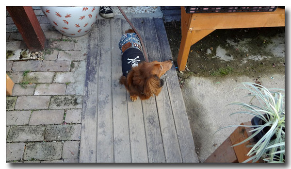 20130411193117.jpg