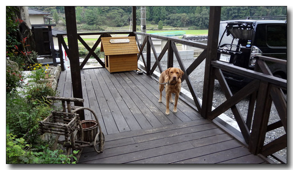 20130411222739.JPG
