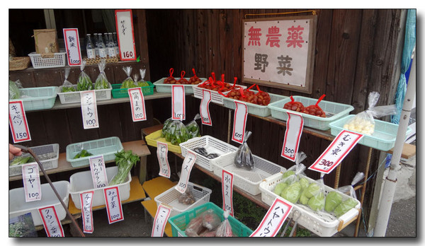 20130411222755.JPG