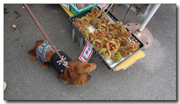 20130411222756.jpg