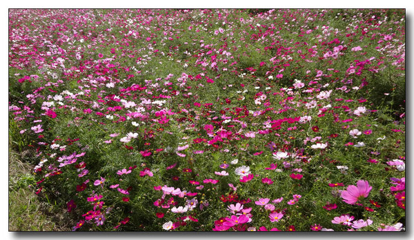 20130411230142.JPG
