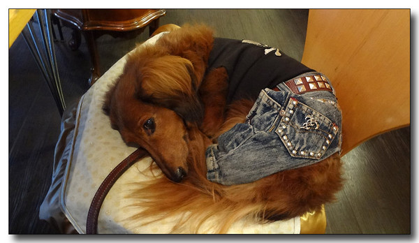 20130523214948.jpg
