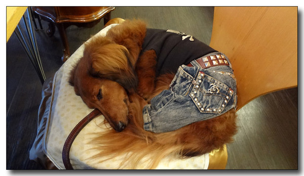 20130523214949.jpg