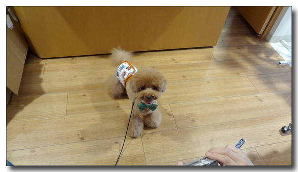 20130523215748.JPG