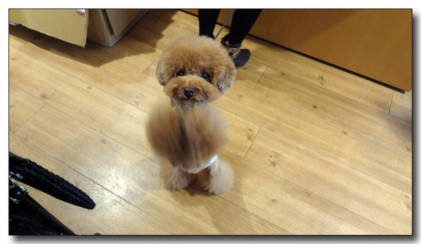 20130523215749.JPG