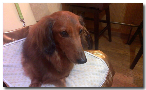 20130524001434.jpg