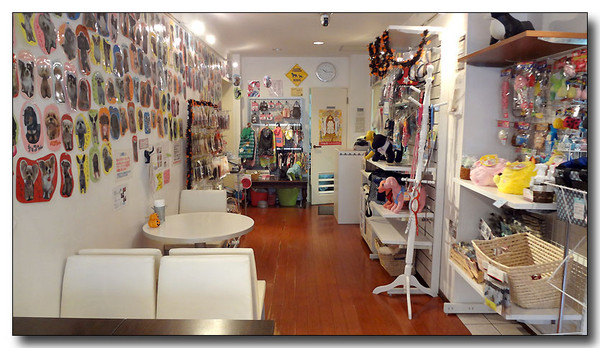 20130625193742.JPG