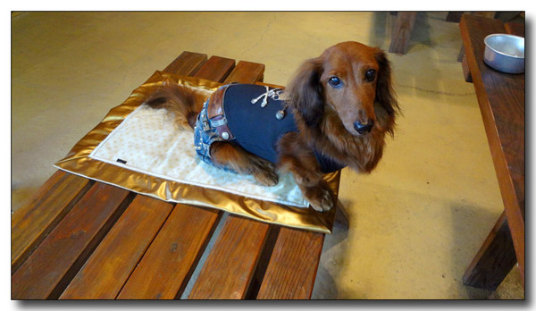 20130325012921.jpg