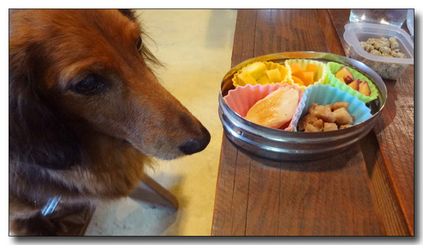 20130325013031.jpg