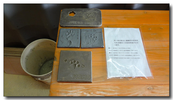 20130325013109.JPG
