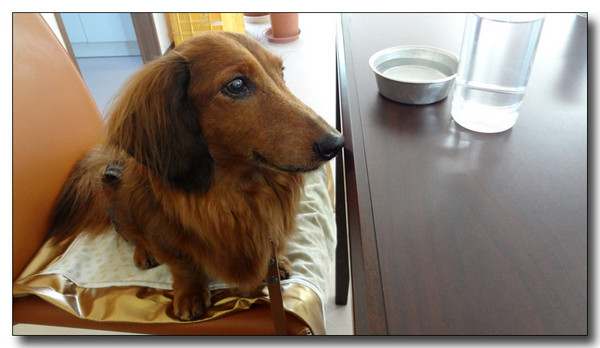 20130325094326.jpg