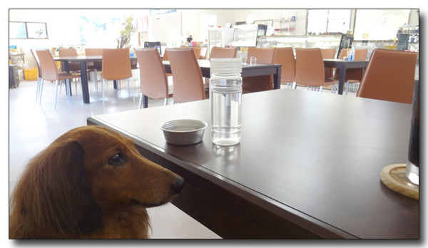 20130325094328.jpg