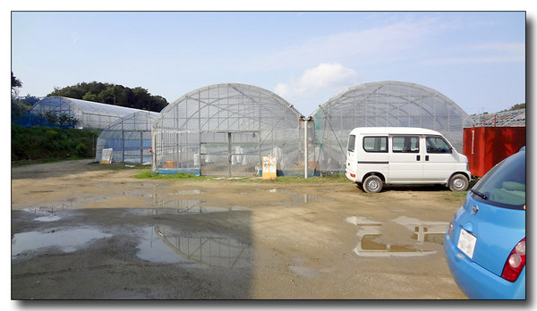 20130325223250.JPG