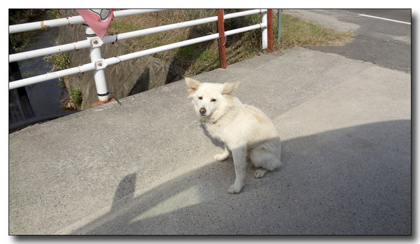 20130325223251.JPG