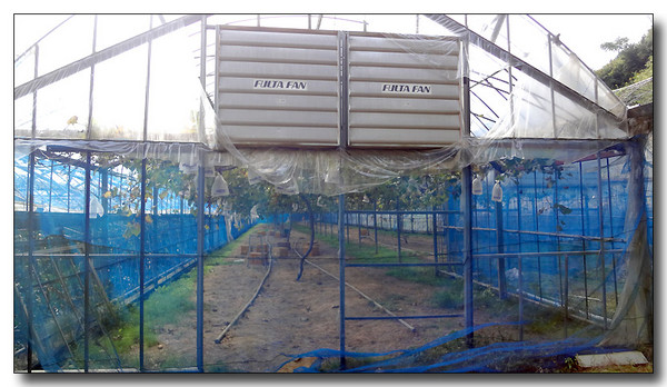 20130325223413.JPG