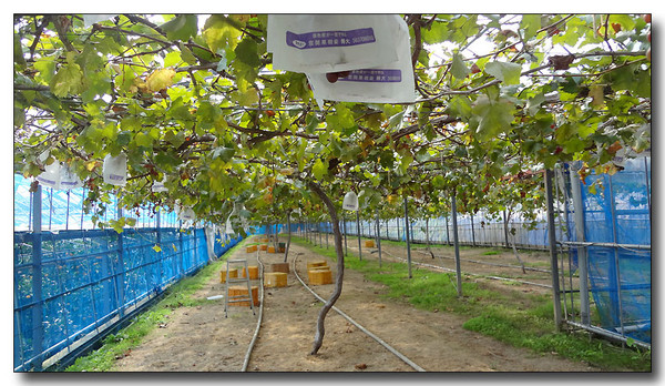 20130325223414.JPG