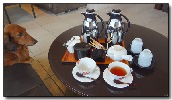 20130326110257.jpg