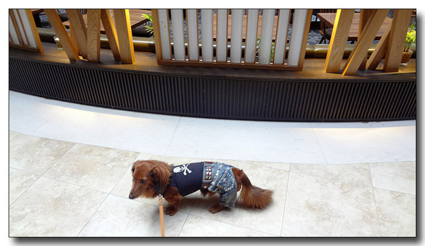 20130326110337.jpg