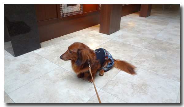 20130326110339.jpg