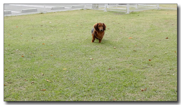 20130326110558.jpg