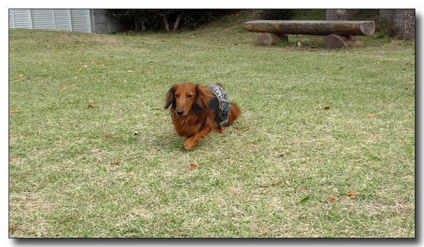 20130326110600.jpg