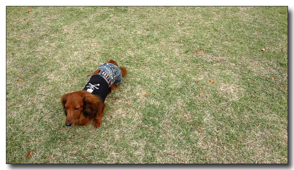 20130326110601.jpg