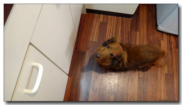 20130326192637.jpg