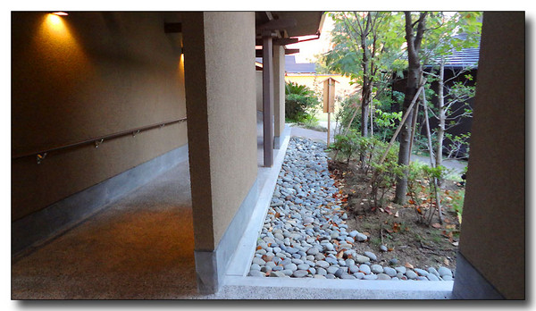 20130327082930.JPG