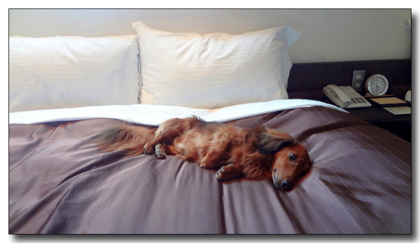 20130330225514.jpg