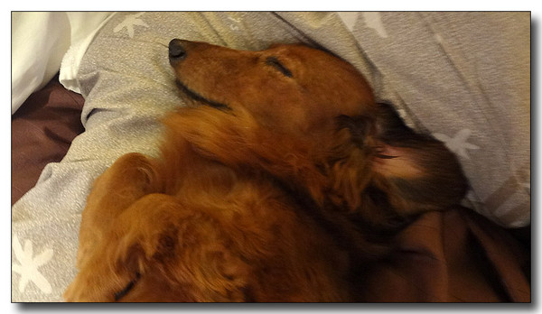 20130330225534.jpg