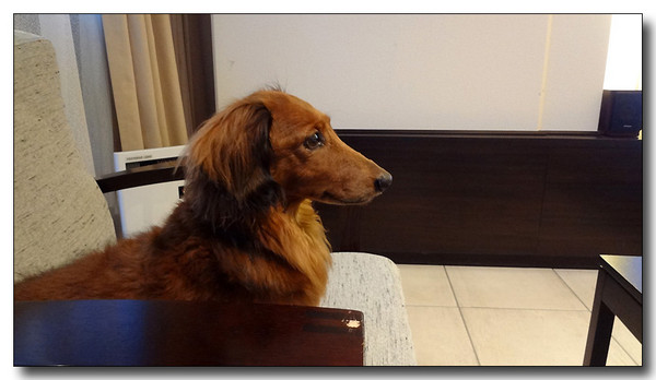 20130402122918.jpg