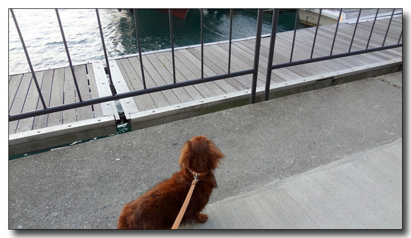 20130402123036.jpg